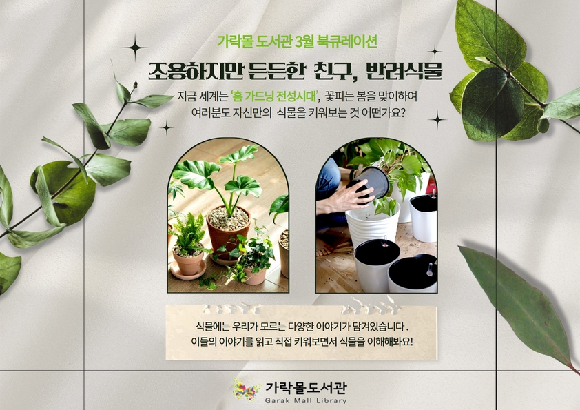 [3월]조용하지만 든든한 친구, 반려식물