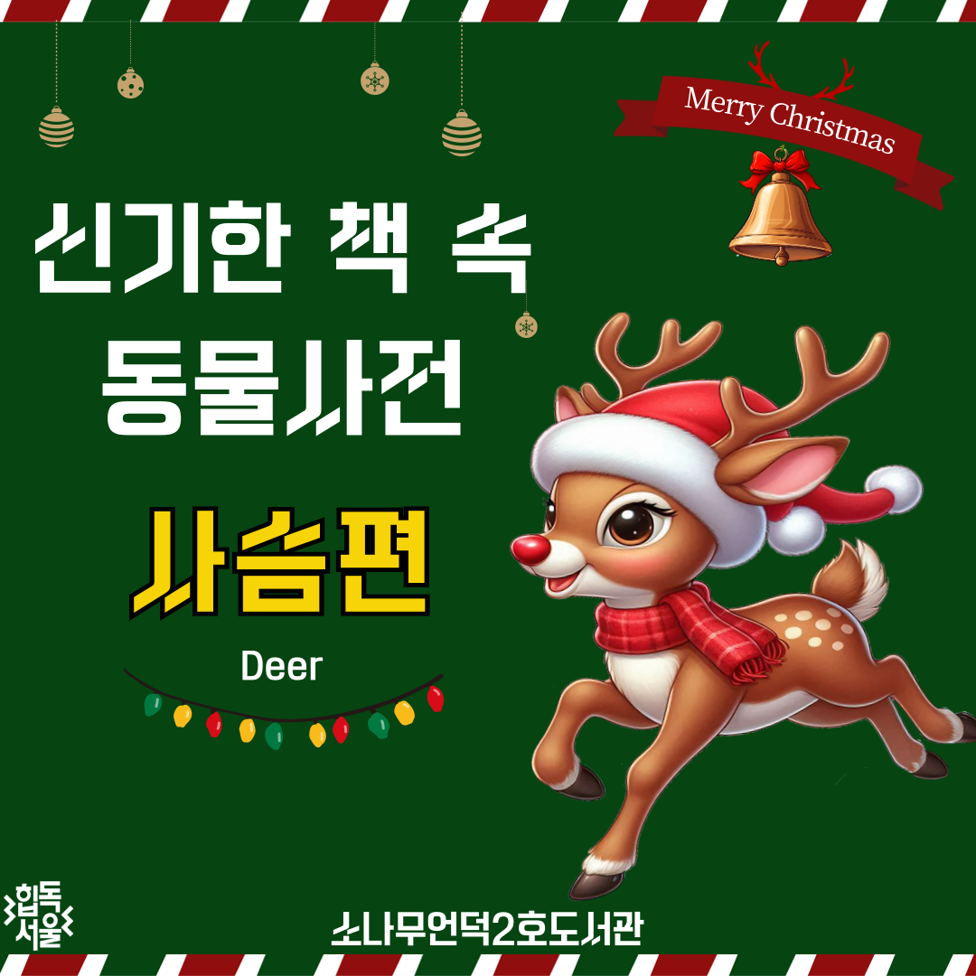 신기한 책 속 동물사전 <사슴편>