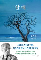 할매 : 황석영 장편소설